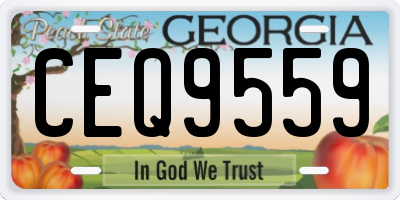 GA license plate CEQ9559