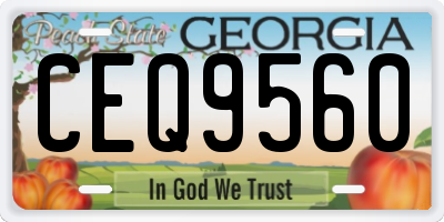 GA license plate CEQ9560
