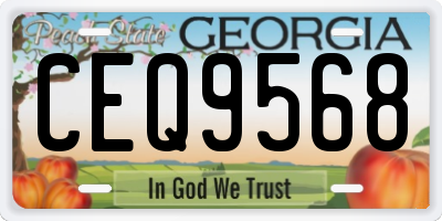 GA license plate CEQ9568