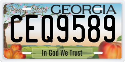 GA license plate CEQ9589