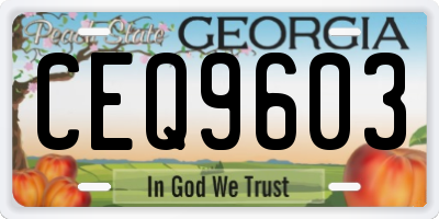 GA license plate CEQ9603