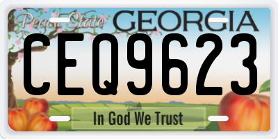GA license plate CEQ9623