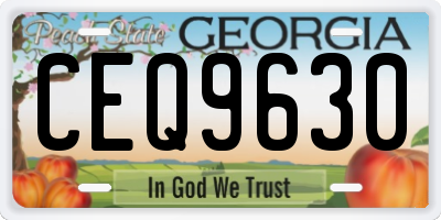 GA license plate CEQ9630