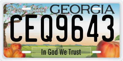 GA license plate CEQ9643