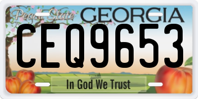 GA license plate CEQ9653