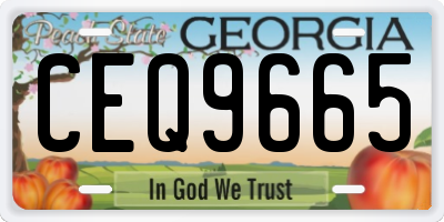 GA license plate CEQ9665
