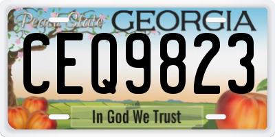 GA license plate CEQ9823