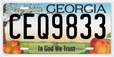 GA license plate CEQ9833