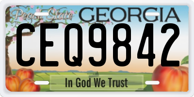GA license plate CEQ9842