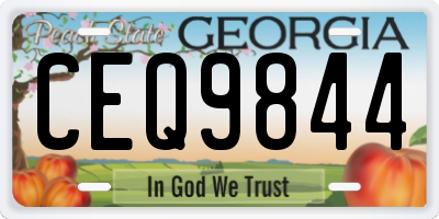 GA license plate CEQ9844