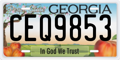 GA license plate CEQ9853