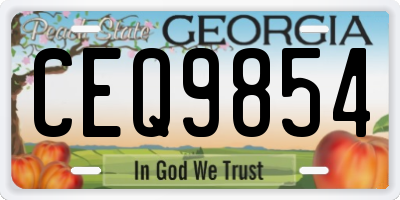 GA license plate CEQ9854