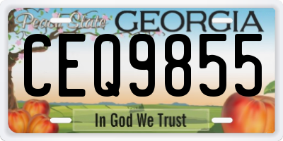 GA license plate CEQ9855