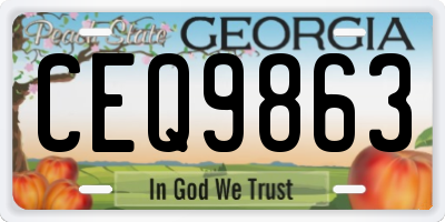GA license plate CEQ9863