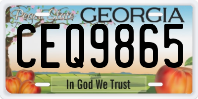 GA license plate CEQ9865