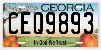 GA license plate CEQ9893