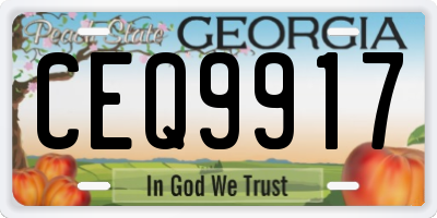 GA license plate CEQ9917