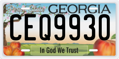 GA license plate CEQ9930