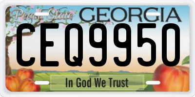 GA license plate CEQ9950