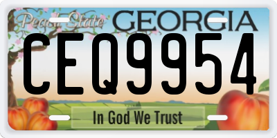 GA license plate CEQ9954