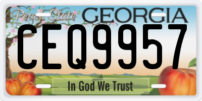 GA license plate CEQ9957
