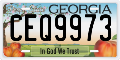 GA license plate CEQ9973