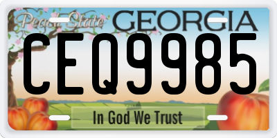 GA license plate CEQ9985