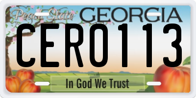 GA license plate CER0113