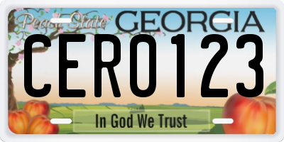 GA license plate CER0123