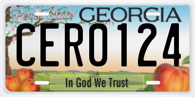 GA license plate CER0124