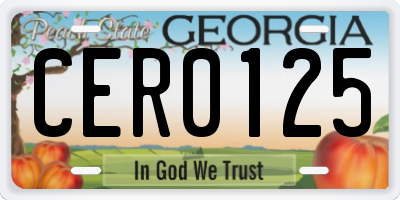 GA license plate CER0125