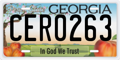 GA license plate CER0263