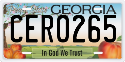 GA license plate CER0265