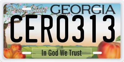 GA license plate CER0313