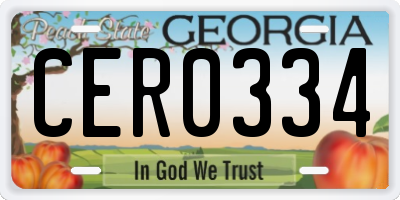 GA license plate CER0334