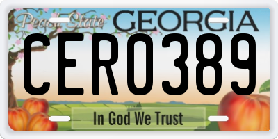 GA license plate CER0389