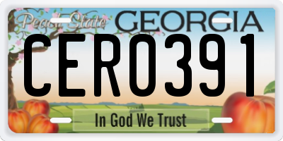 GA license plate CER0391