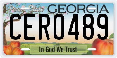 GA license plate CER0489