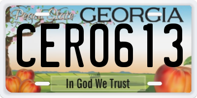 GA license plate CER0613