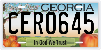 GA license plate CER0645