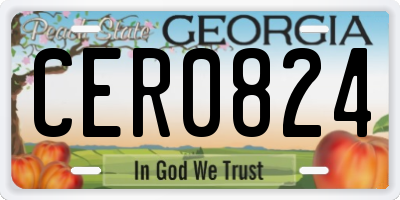 GA license plate CER0824