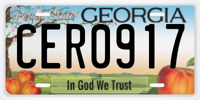 GA license plate CER0917