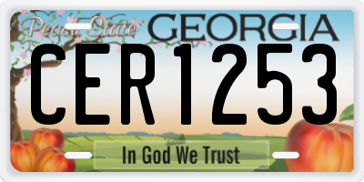 GA license plate CER1253