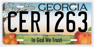 GA license plate CER1263