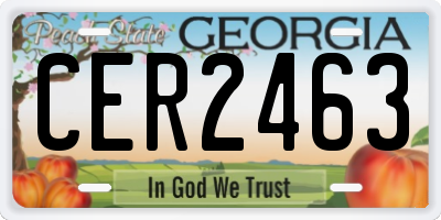 GA license plate CER2463