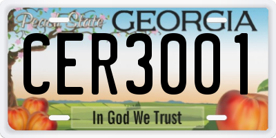 GA license plate CER3001