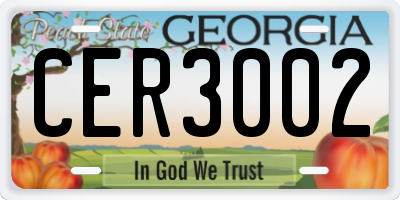GA license plate CER3002