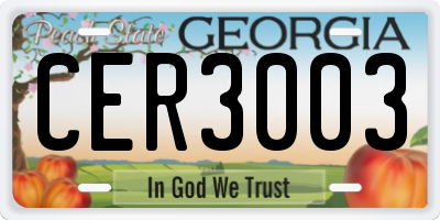 GA license plate CER3003