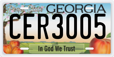 GA license plate CER3005