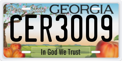 GA license plate CER3009